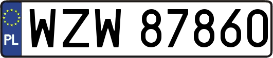 WZW87860