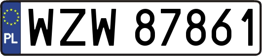 WZW87861
