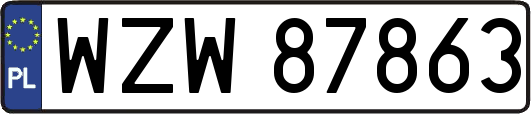 WZW87863