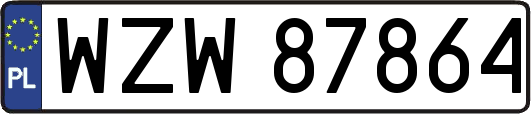 WZW87864