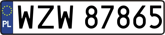 WZW87865