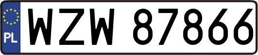 WZW87866