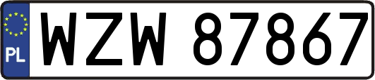WZW87867