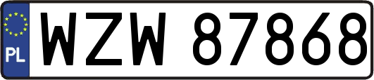 WZW87868