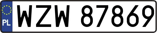 WZW87869