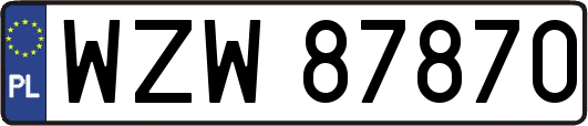 WZW87870