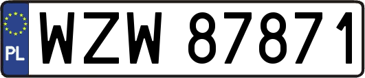 WZW87871