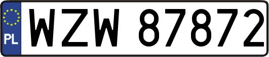 WZW87872