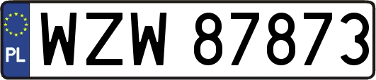 WZW87873