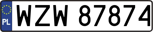 WZW87874