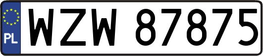 WZW87875