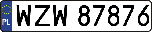 WZW87876
