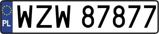 WZW87877