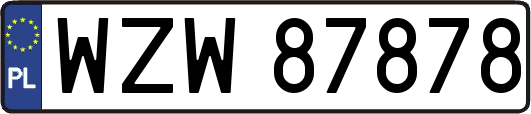 WZW87878