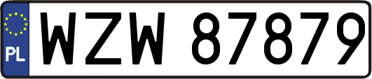 WZW87879