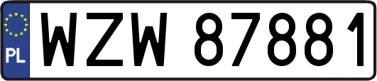 WZW87881