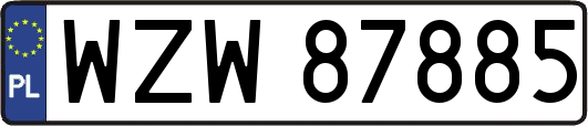 WZW87885