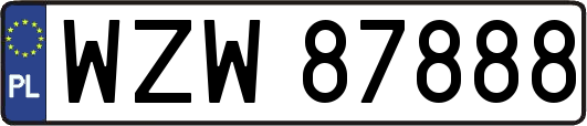 WZW87888