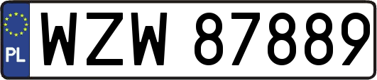 WZW87889