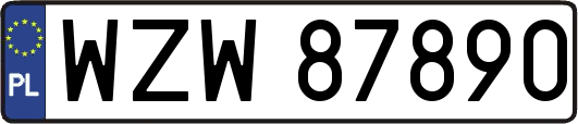 WZW87890
