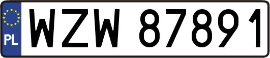 WZW87891