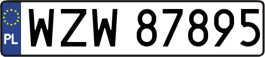 WZW87895
