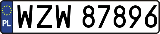 WZW87896