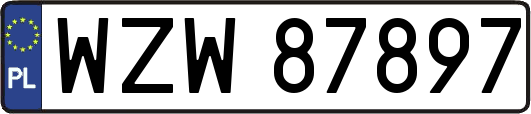 WZW87897