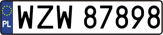 WZW87898