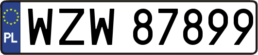 WZW87899