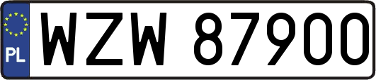 WZW87900
