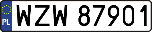 WZW87901