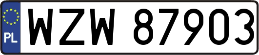 WZW87903