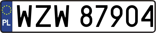 WZW87904