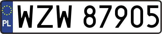 WZW87905