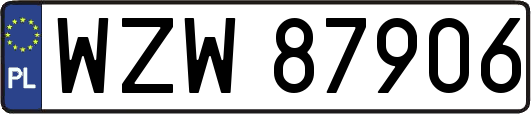 WZW87906