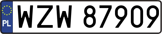 WZW87909