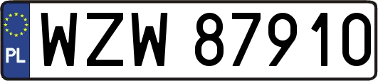 WZW87910