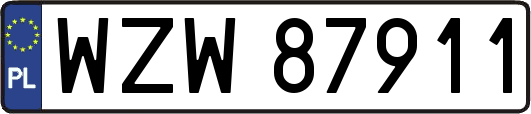 WZW87911