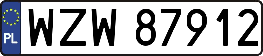 WZW87912