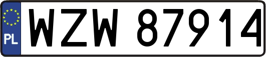 WZW87914