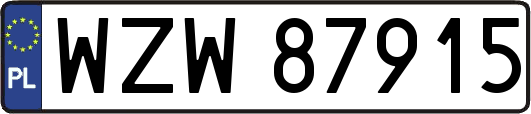 WZW87915