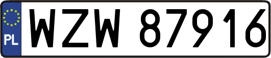 WZW87916