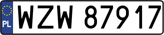 WZW87917