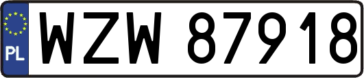 WZW87918