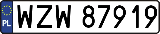 WZW87919