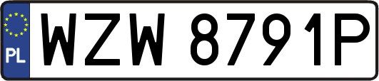 WZW8791P
