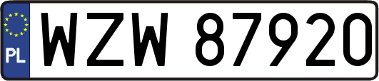 WZW87920