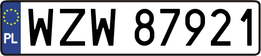 WZW87921