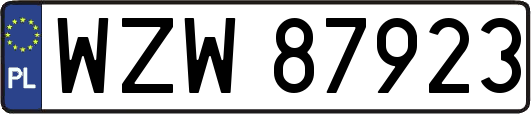 WZW87923